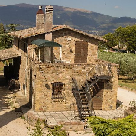 Country House Carmelita Limigiano Exterior foto